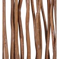 Hnedý etno paraván Bosque s naturálnym dizajnom z teakového dreva 180 cm