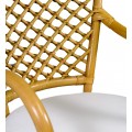 Štýlová jedálenská stolička Remi z ratanu so zaoblenými operadlami a s pletenou výplňou s kosoštvorcovými vzormi s lesklým hladkým povrchom v hnedej medovej farbe z ohýbaného dreva